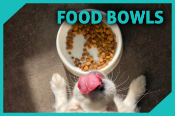 Food Bowls