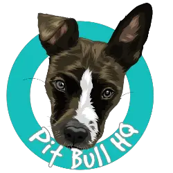 pitbullhq logo